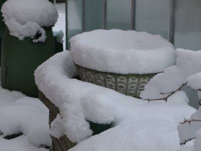 snowy blanket